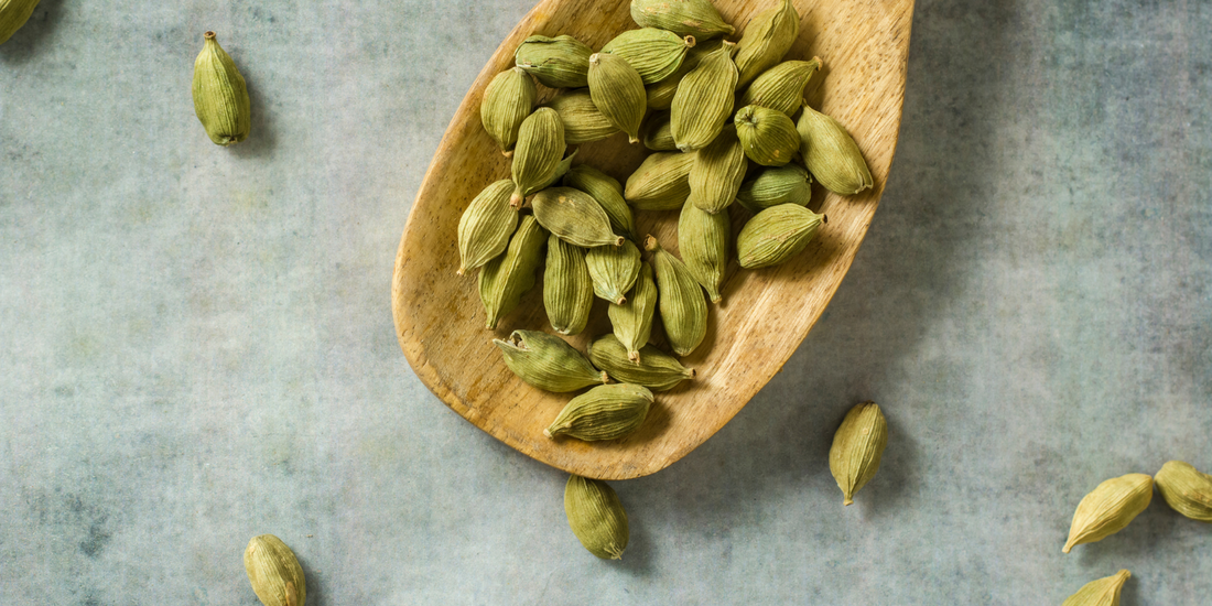 Focus sur la Cardamome verte