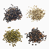 Lot de 4 poivres