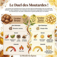 Moutarde brune graines