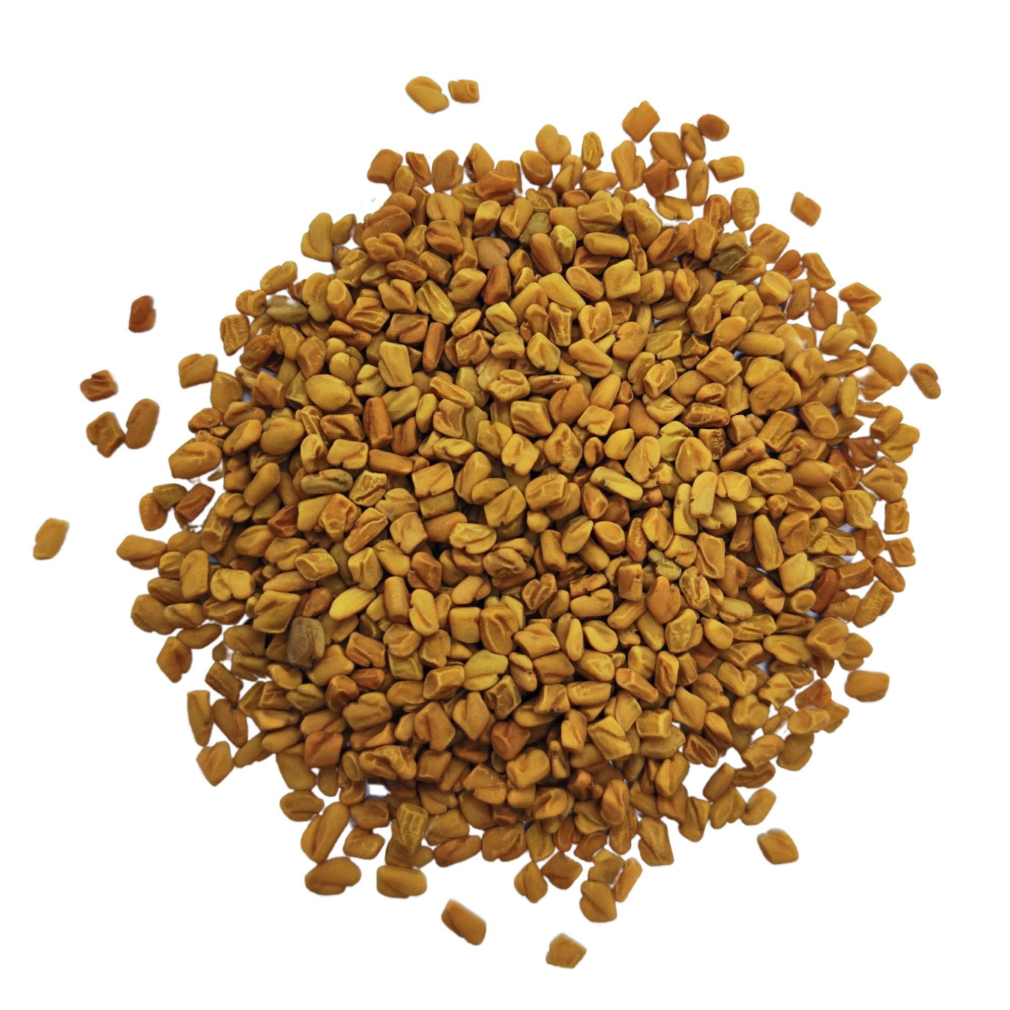 Fenugrec graines entières