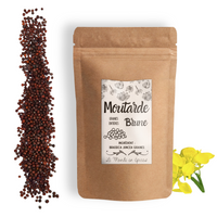 Moutarde brune graines
