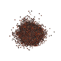 Moutarde brune graines