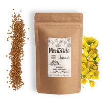 Moutarde jaune graines