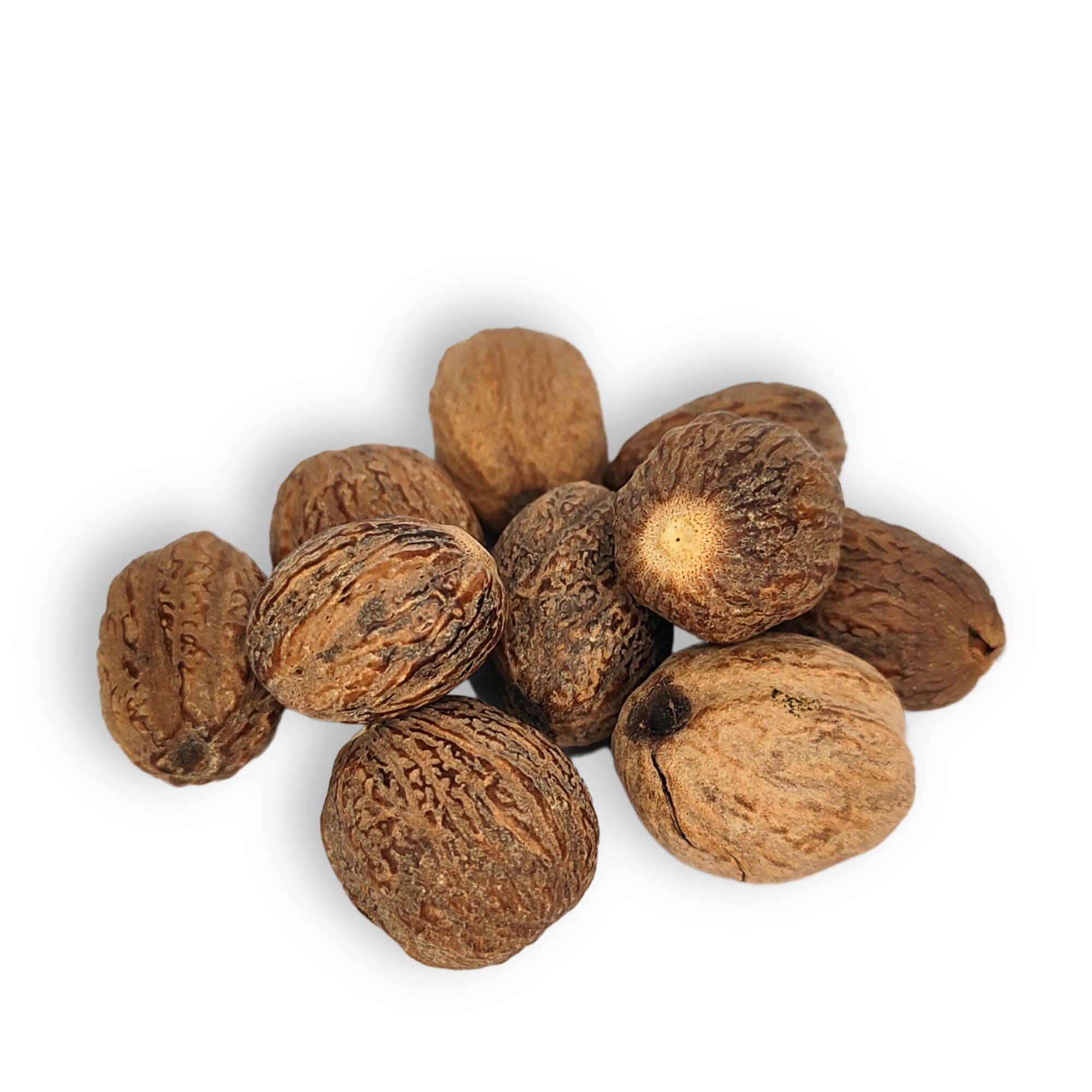 Ganze Muskatnuss 