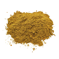 Assaisonnement à la Poudre Forte Médiévale 35 g