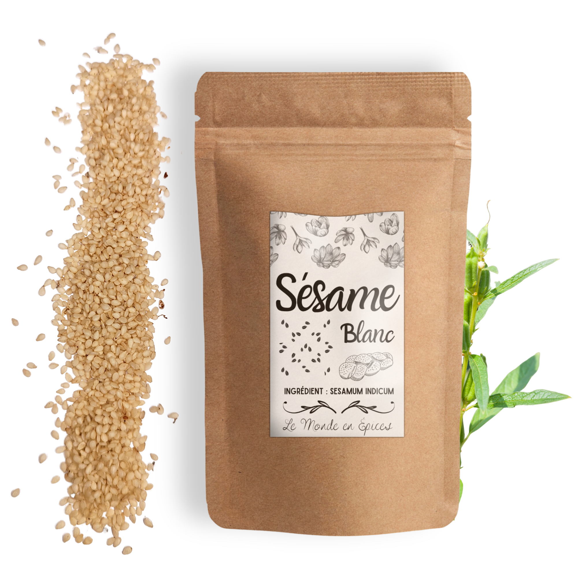 Sésame blanc graines